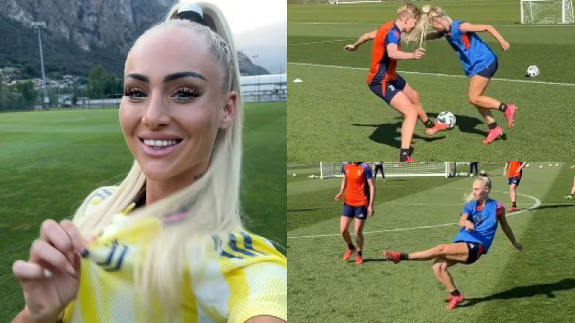 上的合作 上的合作