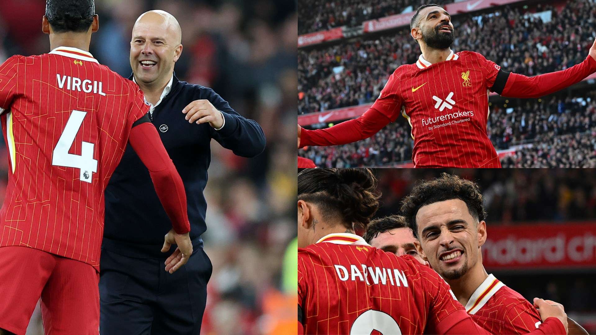 体赛事的观 体赛事的观